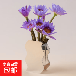 京喜 睡莲鲜切花 广州直发 带花苞 紫色睡莲5枝（京东快递）