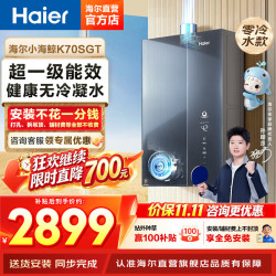 海尔 JSLQ27-16K70SGTFU1 燃气热水器 16L