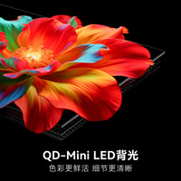 创维 75A5H 电视 75英寸QD-Mini LED