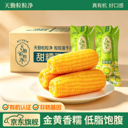 天勤粒粒净 26年新 京觅有机黄糯8*300g（4.8斤）
