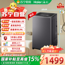海尔 XQB110-BZ2VE2 直驱变频波轮洗衣机