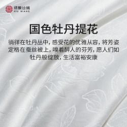 绣娘 丝绸蚕丝被100桑蚕丝被子官方旗舰店正品被芯子母被十大名牌