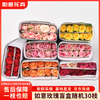 如意 玫瑰花随机颜色30枝(2-3种颜色)40cm鲜切花生活花束山东源头直发