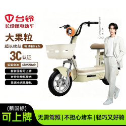 台铃 电动自行车大果粒新新国标可上牌48V20AH长续航电动车时尚款电瓶车代步车 暖茶绿 48V20AH