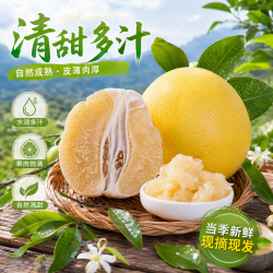 城南堡花 白心蜜柚 果园鲜采 整箱当季水果 单枚试吃装1.8斤