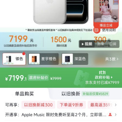 苹果 iPhone 17 Pro 5G手机 256GB 银色