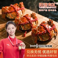 阳澄有礼 大闸蟹(公3.5两母2.5两)4对8只