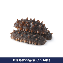 东方甄选 冷冻海参 500g