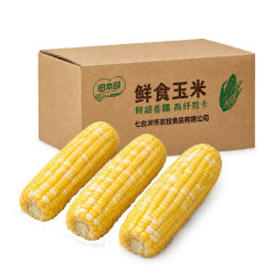 北誉甄品 农投 黄白粒糯玉米 250-300g×8棒