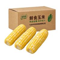 北誉甄品 东北黄白粒糯玉米