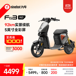 九号 Fz3 110 电动自行车 门店自提