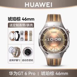 华为 WATCH GT 6 Pro 蓝牙版 智能手表 45.6mm 琥珀棕 复合编织表带