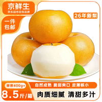 京鲜生 山东冰糖秋月梨 净重3斤 单果300g+ 新鲜水果 源头直发
