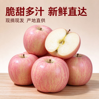 陕西红富士苹果 净重8.5-9斤特大果装果径80-90mm