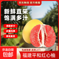 其他家 福建琯溪蜜柚红心柚子皮薄爆汁甜柚新鲜时令水果节日整箱 2-3斤