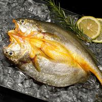 黄小渔 三去大黄鱼宁德黄鱼鲞400g 2条