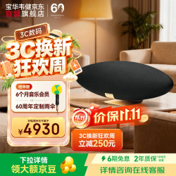 宝华韦健 Zeppelin Pro Edition曜金黑