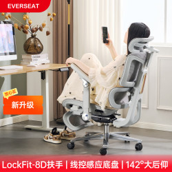 Everseat Flex6Pro 人体工学椅办公椅可躺椅独立腰靠大坐深电脑椅 晨雾灰+合金钢脚+脚托