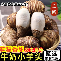 黄六爷 山东牛奶小芋头 5斤