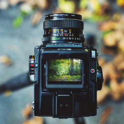 玛米亚 玛咪雅（mamiya） 玛米亚 M645 1000S 80/2.8胶片 相机 中画幅 SUPER PRO 95新 M645 单机身
