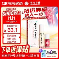 云南白药 气雾剂85g+保险液30g