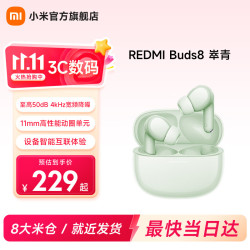 小米 REDMI 红米 Buds 8 入耳式动圈蓝牙耳机 萃青  Type-C