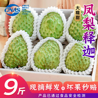 优味集 释迦果新鲜水果 3斤装丨老树4A果（250-350g）净重2斤