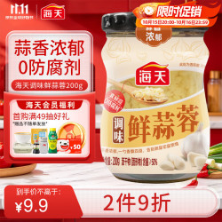 海天 调味鲜蒜蓉200g 火锅油碟 海鲜大咖 凉拌佐餐
