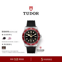 帝舵 明星同款TUDOR帝舵官方旗舰碧湾夜光自动机械手表礼物41mm