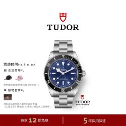 帝舵 官方旗舰碧湾68型蓝色/银色表盘夜光自动机械手表43mm