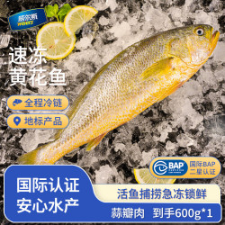 威尔斯（WEIERS）宁德大黄鱼600g 地标认证黄花鱼 深海鱼生鲜鱼类