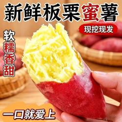 正宗陕西板栗红薯秦薯五号黄心地瓜栗面红薯整箱