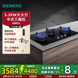西门子 JZT-ER9EPA33MP 5.2kW大火力 三眼嵌入式燃气灶