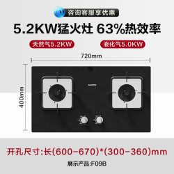 澳柯玛 JZ*-3D025G 一级能效 双灶燃气灶