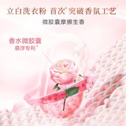 立白 大师香氛洗衣粉 梦幻格拉斯玫瑰 立白大师香氛爆香洗衣粉4斤
