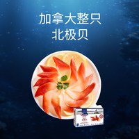 Clearwater 北极清水 加拿大北极贝刺身 S级