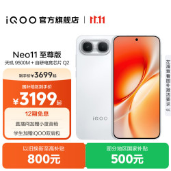 vivo iQOO Neo11至尊版 手机 12GB+512GB 驰光白
