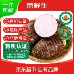 京鲜生 广西有机荔浦芋头 大果净重3斤3-4个 新鲜蔬菜源头直发