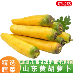 京地达 山东带泥黄胡萝卜 4.5斤 新鲜蔬菜