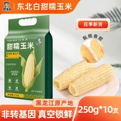 邹有才 新货东北白甜糯玉米10支真空铝箔玉米黏新鲜摘玉米棒苞米BU