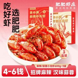 肥肥虾庄 4-6钱麻辣蒜蓉小龙虾新品上新加热即食600g*3盒夜宵美食