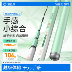 渔之源 渔具台钓鱼竿手竿轻量碳素小蜻蜓二代28偏19调