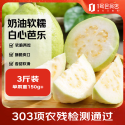 趣尝鲜 广东奶油白心芭乐净重3斤 单果150g+ 新鲜水果包邮直发
