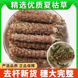 山阳春 500g夏枯草正品野生泡茶泡水喝白毛夏枯草新鲜干货夏枯球