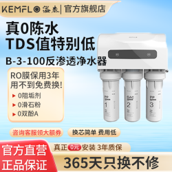 KEMFLO 康富乐过滤器净水器家用直饮厨房自来水ro反渗透净水机厨下式B-3-100