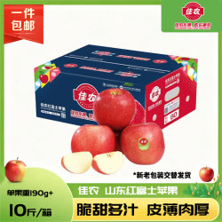 佳农 烟台特级红富士 苹果 15个装 230g