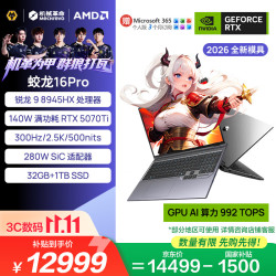 机械革命 蛟龙16 Pro 2025款 锐龙8000 16英寸 游戏本 灰色（R9-8945HX、RTX 5070 Ti 12G、32GB、1TB+2560*1600、300Hz）