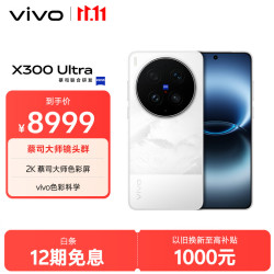 vivo X300 Ultra 5G手机 16GB+512GB 银调