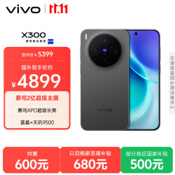 vivo X300 5G手机 16GB+512GB 纯粹黑