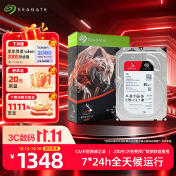 希捷 NAS硬盘 4TB 256MB 机械硬盘 CMR垂直 静音低耗 数据恢复服务